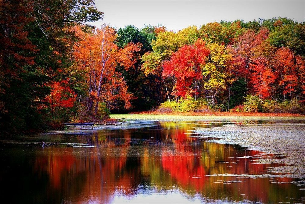 Caldwell House Bed And Breakfast Salisbury Mills ภายนอก รูปภาพ
